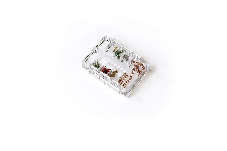 Pin Tray with Travel Cover - by LockCaddy